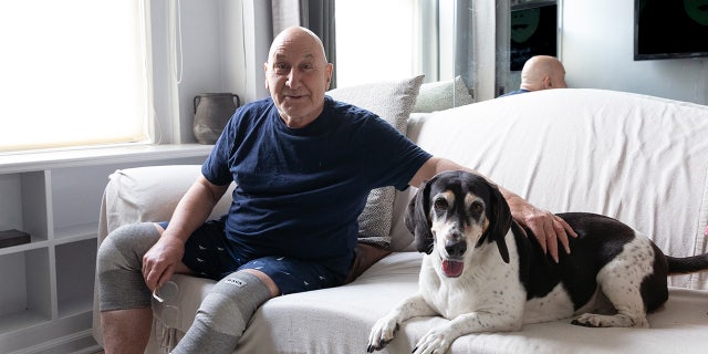 A PAWS NY customer and his dog. Pets Are Wonderful Support (PAWS) NY is simply a nonprofit that's dedicated to helping older and susceptible adults return attraction of their pets.
