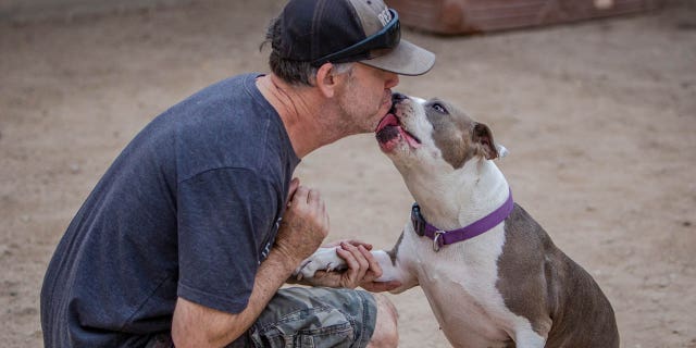 Pebbles loves humans and running in the yard, says the shelter.