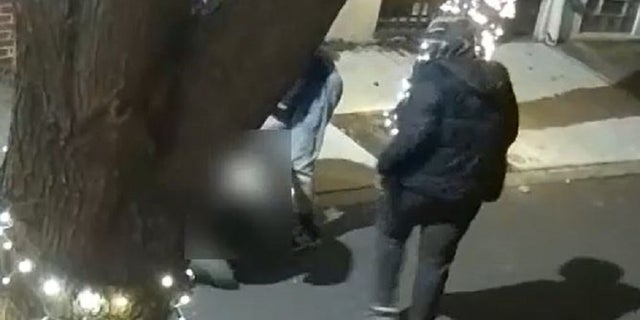 A robbery caught on camera appears to show four males violently attacking a woman on the street over the weekend.