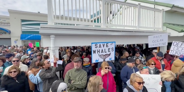 Hundreds rally in Point Pleasant Beach, New Jersey, on Sunday against offshore wind projects over concerns they are harming whales.