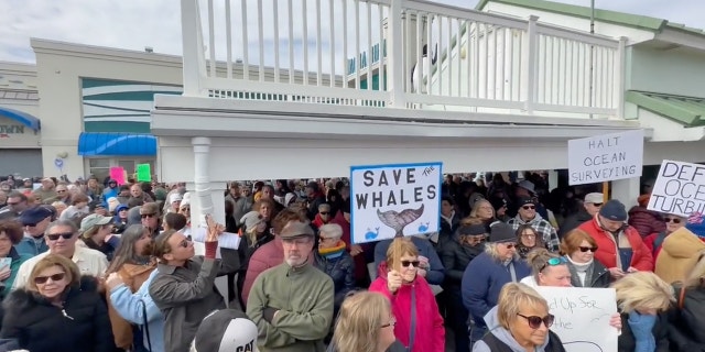 Hundreds rally in Point Pleasant Beach, New Jersey, on Sunday against offshore wind projects over concerns they are harming whales.