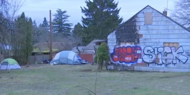 Residents of a Portland neighborhood say they've dealt with a homeless encampment for about 5 years