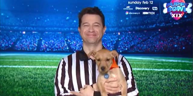 Puppy Bowl Referee Dan Schachner holds a puppy named Hattie, who is from the Muddy Paws shelter in New York City.