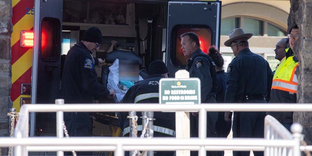 An Illinois mother has died and her 5-year-old son has been hospitalized after jumping from a cliff in Niagara Falls on Sunday, February 12, 2023.