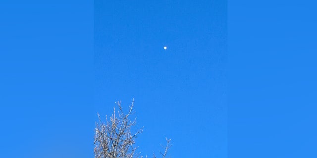 The suspected Chinese spy balloon over Columbia, Missouri.