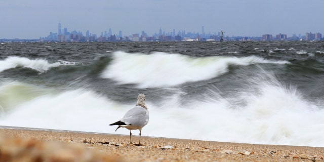 Gelombang pecah di Samudra Atlantik di depan cakrawala Manhattan pada 8 September 2018, dilihat dari Sandy Hook, New Jersey.