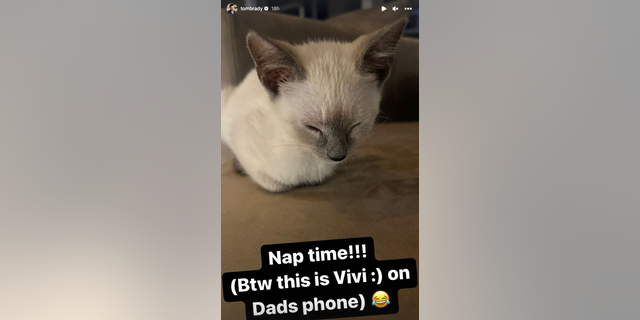 The kitten takeover is a continuation of Tom Brady’s new role as a cat dad.