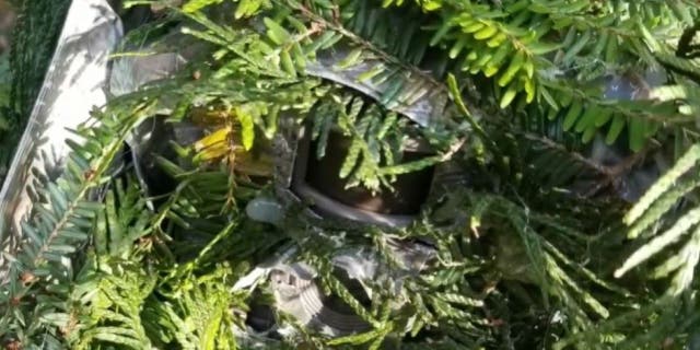A trail camera of unknown origin was found hidden in a Washington state neighborhood