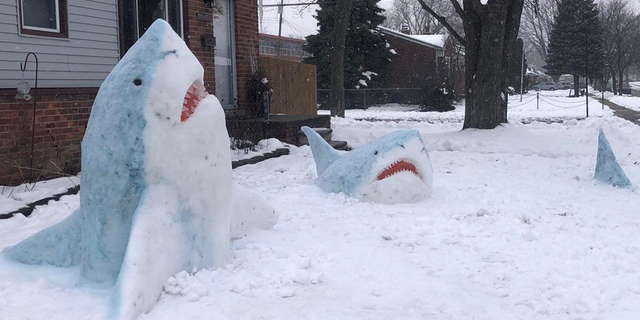 Jennifer Ramirez, an art teacher from Michigan made detailed shark-shaped snow sculptures in her front yard.