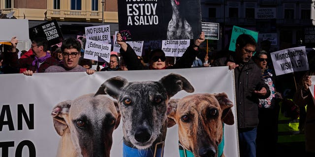 Animal rights groups march in protests to urge more protection for hunting  dogs | Fox News
