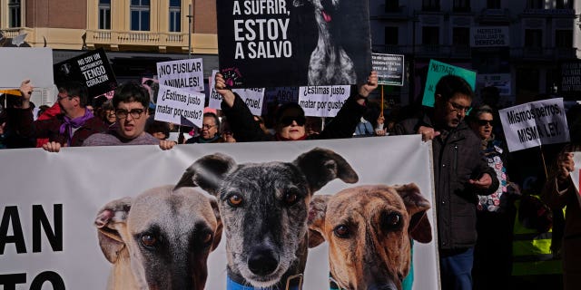 Animal rights groups march in protests to urge more protection for hunting dogs | Fox News Animal rights groups march in protests to urge more protection for hunting dogs | Fox News