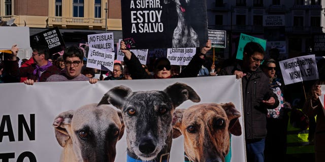 People protest against the exclusion of some animals in the new animal protection law, Madrid, Spain, on Feb. 5, 2023.