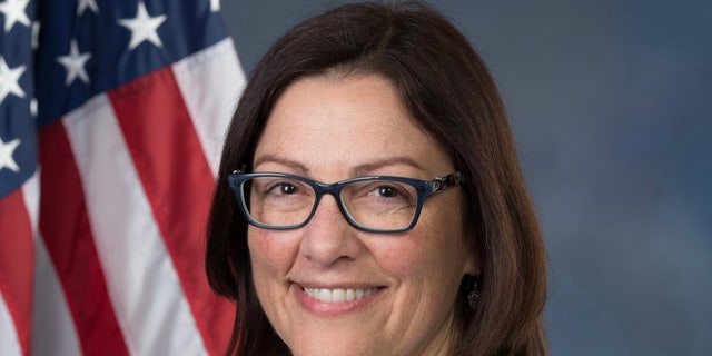 Rep. Suzan DelBene of Washington State is the new chair of the Democratic Congressional Campaign Committee