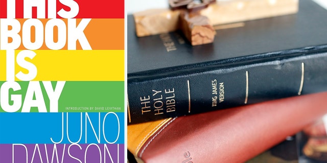 "This Book is Gay" by Juno Dawson was available to students in the Anchorage school district.