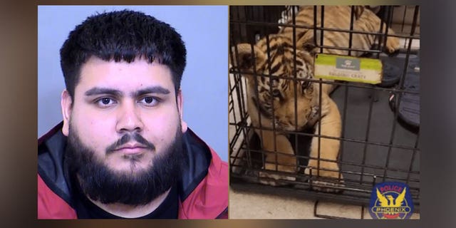 A Phoenix man was arrested for allegedly trying to sell a tiger cub on social media in January.