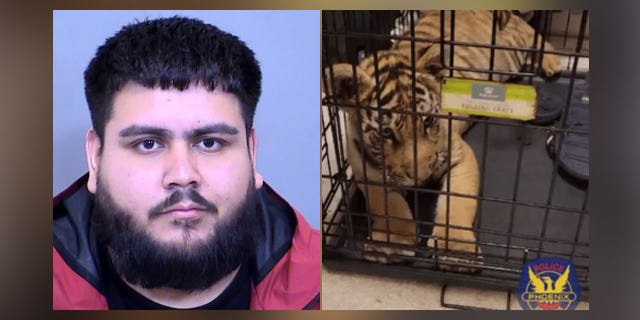 A Phoenix man was arrested for allegedly trying to sell a tiger cub on social media in January.