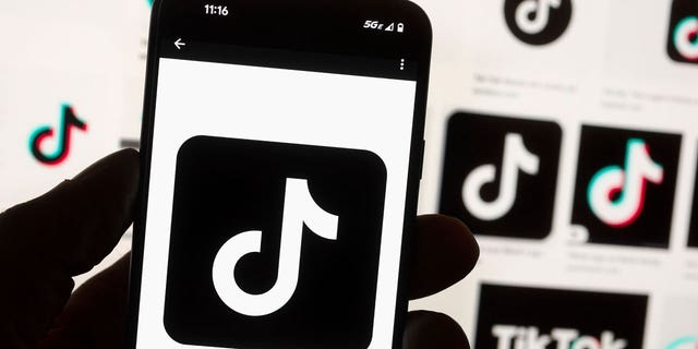 The TikTok logo is seen on a cell phone display