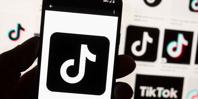 The TikTok logo is seen on a cell phone display