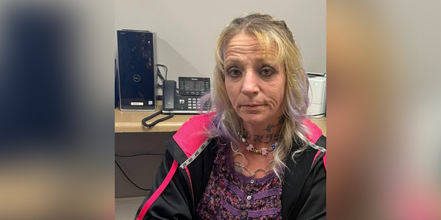 Deputies were searching for fugitive Tina Hicks erstwhile a toddler revealed her location.