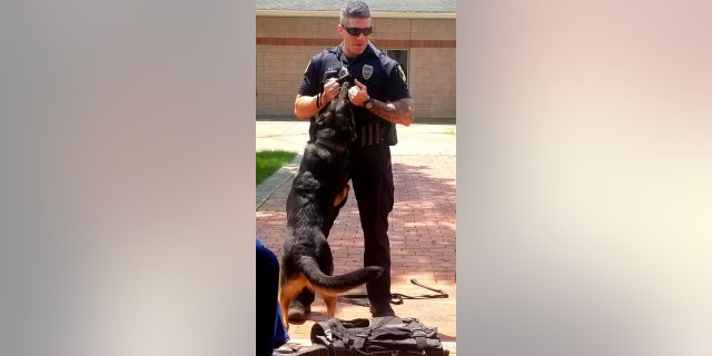 Tole recently retired in November 2022 yet continues to come into the office with Deputy Chief Roman.