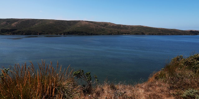 Tomales Bay is seen from Tom's Point in Tomales Bay, Calif., on August 29, 2019.