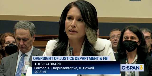 Veteran and former Hawaiian Representative Tulsi Gabbard speaks at a committee hearing.