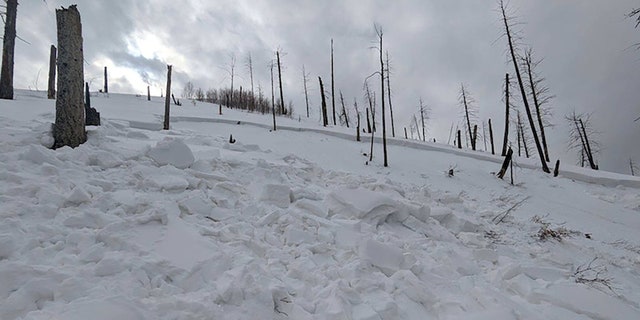 Search and rescuers recovered tracks starring into nan avalanche debris but nary starring out, officials said.