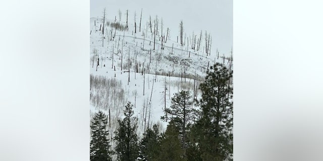 Both skiers were found buried under about four feet of avalanche debris.