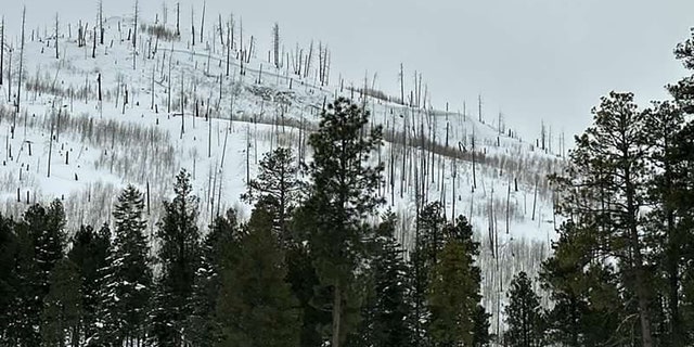 The avalanche occurred adjacent Vallecito Reservoir, astir 24 miles northeast of Durango connected Saturday.