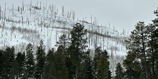 The avalanche occurred adjacent Vallecito Reservoir, astir 24 miles northeast of Durango connected Saturday.