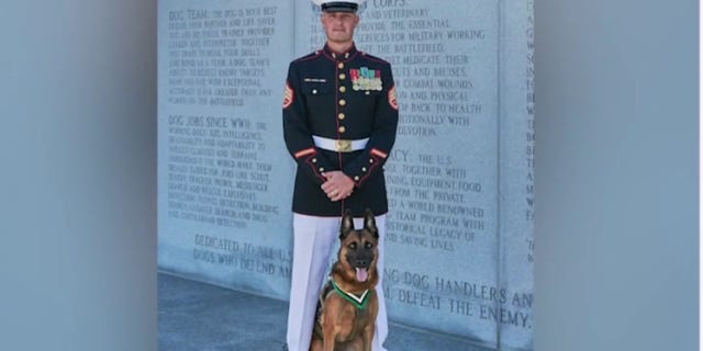 Bass was awarded the PDSA Dickin Medal for his heroism.