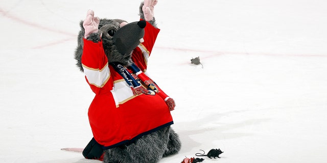 La mascota de los Florida Panthers, Viktor E. Ratt, reúne a sus amigos ratas para una rápida oración de agradecimiento por su victoria por 9-2 sobre los Columbus Blue Jackets en el FLA Live Arena el 15 de enero de 2022 en Sunrise, Florida.