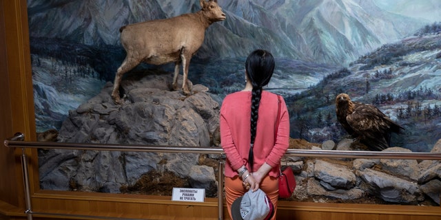 A woman looks at a diorama at the Yakutsk State Museum of History and Culture in Yakutsk, Russia, on July 2, 2019. Melting permafrost is altering the landscape of Siberia, including the region's largest city, Yakutsk, and altering its economy. 