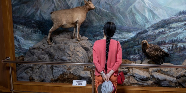 A woman looks at a diorama at the Yakutsk State Museum of History and Culture in Yakutsk, Russia on July 2, 2019. Melting permafrost is altering Siberia's landscape, including the region's largest city, Yakutsk, and altering its economy.