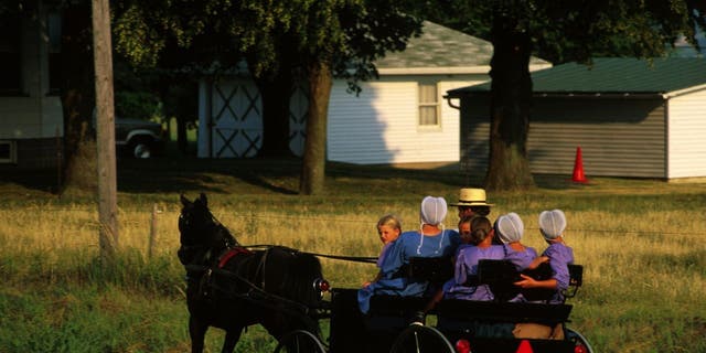 Amish family In buggy