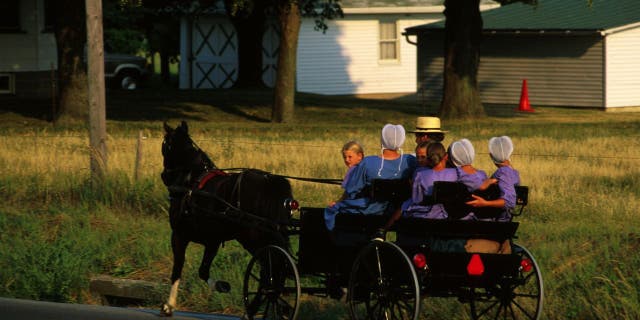 Amish family In buggy