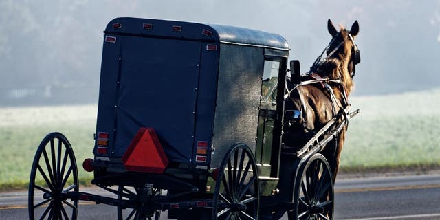 Amish buggy in Pennsylvania