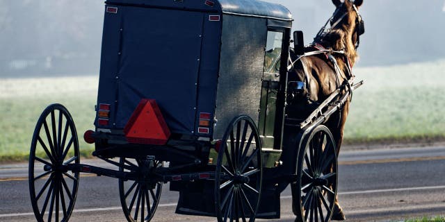 Amish buggy in Pennsylvania