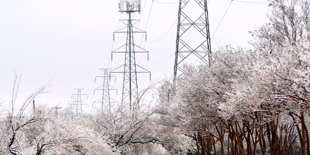 Democratic Austin Mayor Kirk Watson apologized to residents for continued blackouts following a winter storm that wreaked havoc in much of the South.