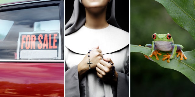 Selling cars on Sundays, dressing as a member of the clergy and eating frogs that die in frog-jumping competitions are all illegal in certain parts of America. Check out these and more odd and surprising laws!