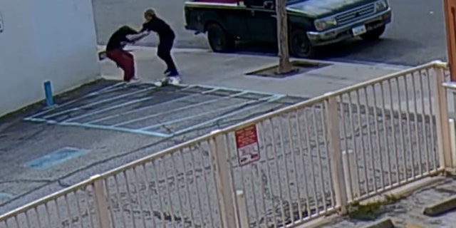 California teen arrested proper after violent puppy-snatching pet returned to operator California teen arrested proper after violent puppy-snatching pet returned to operator