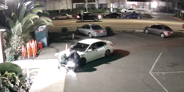 Suspect in California hits elderly homeless woman with his car.