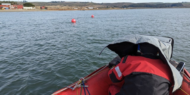 California Recovery Divers, a volunteer aquatic search group, located Koga's body about 100 yards from the shore of Lawson’s Landing.
