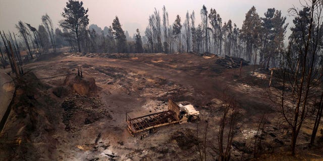 An area was left scorched after a forest fire burned through Santa Juana, Chile, on Feb. 5, 2023. 