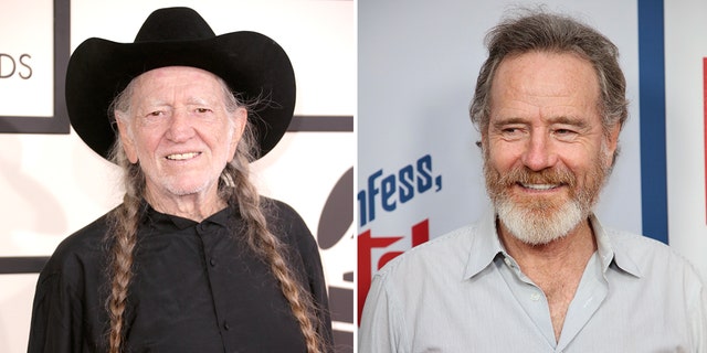 "Breaking Bad" star Bryan Cranston said he'd be interested to play Willie Nelson, if a biopic was ever made.  
