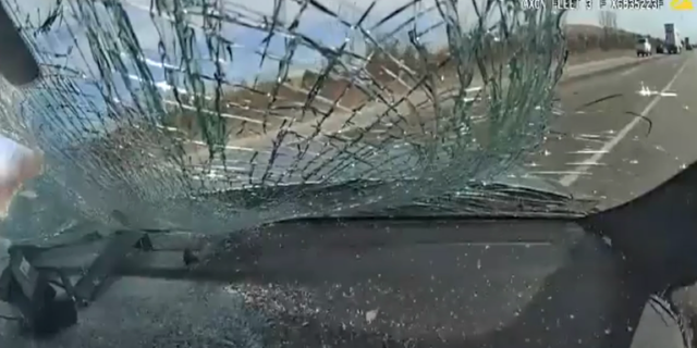 Adrian Wilson was hospitalized after being slammed on his cruiser's windshield by a reckless driver.
