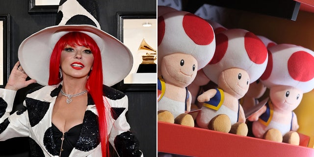 Social media users compared Shania Twain's look to that of Toad, a popular character from the Super Mario video games.
