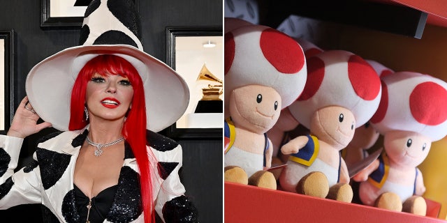 Social media users compared Shania Twain's look to that of Toad, a popular character from the Super Mario video games.