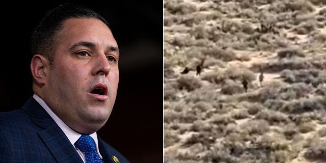 Rep. Anthony D’Esposito said he saw firsthand really cartels "are controlling nan border."