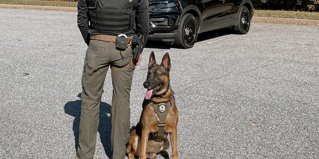 Spartanburg County Sheriff's Office K9 Paco, a Belgian Malinois, and his partner Master Deputy Shields.